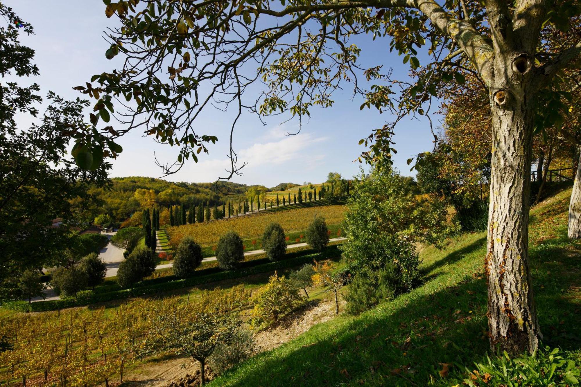 Relais Russiz Superiore Capriva del Friuli エクステリア 写真